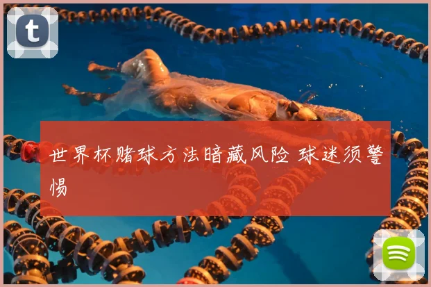 世界杯赌球方法暗藏风险 球迷须警惕