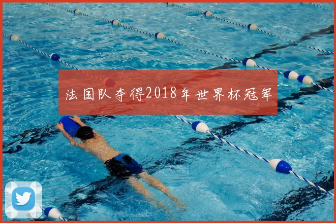 法国队夺得2018年世界杯冠军