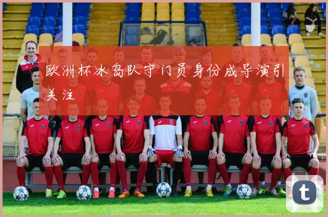 欧洲杯冰岛队守门员身份成导演引关注
