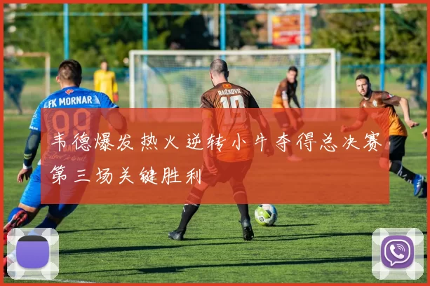 韦德爆发热火逆转小牛夺得总决赛第三场关键胜利