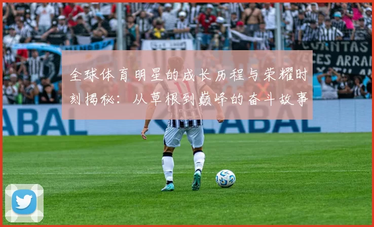 全球体育明星的成长历程与荣耀时刻揭秘：从草根到巅峰的奋斗故事