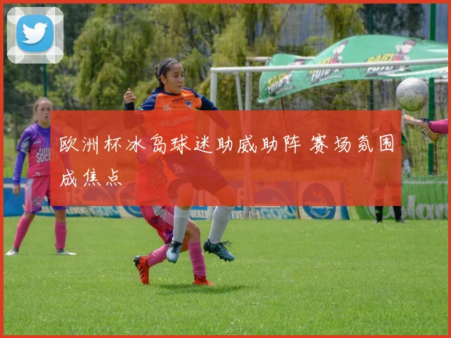 欧洲杯冰岛球迷助威助阵 赛场氛围成焦点