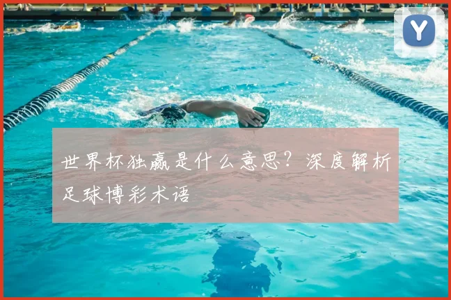 世界杯独赢是什么意思？深度解析足球博彩术语