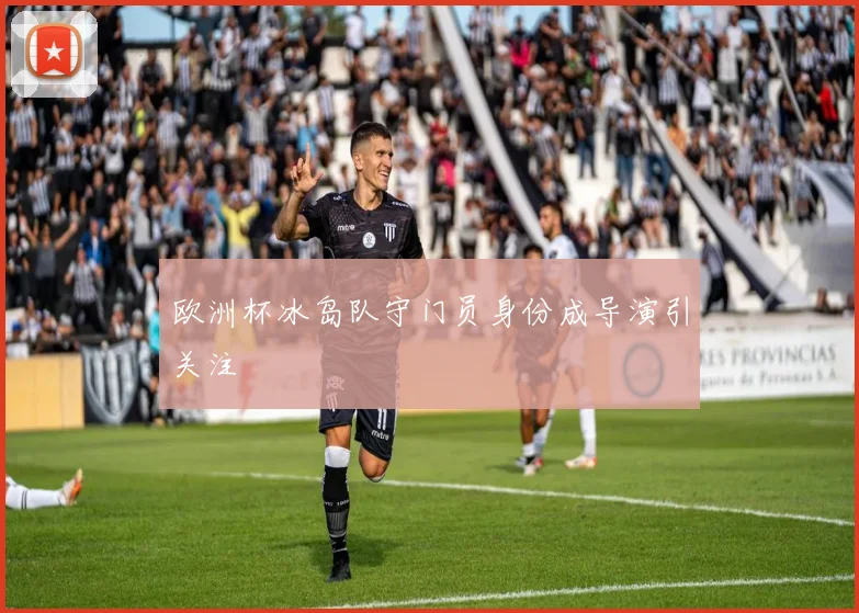 欧洲杯冰岛队守门员身份成导演引关注