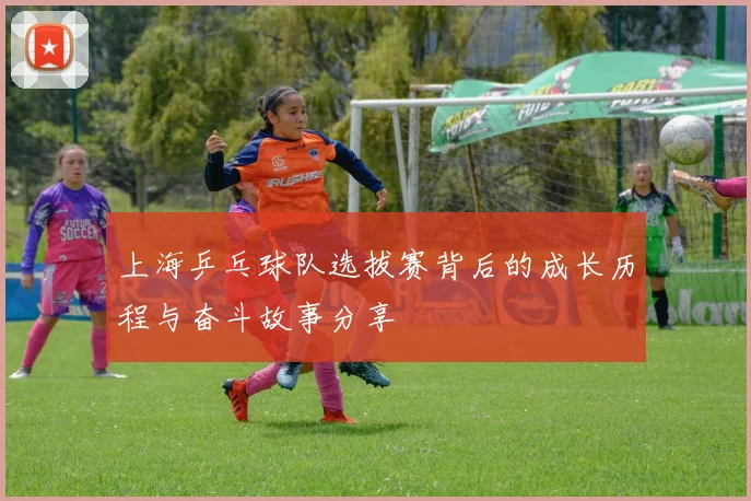 上海乒乓球队选拔赛背后的成长历程与奋斗故事分享