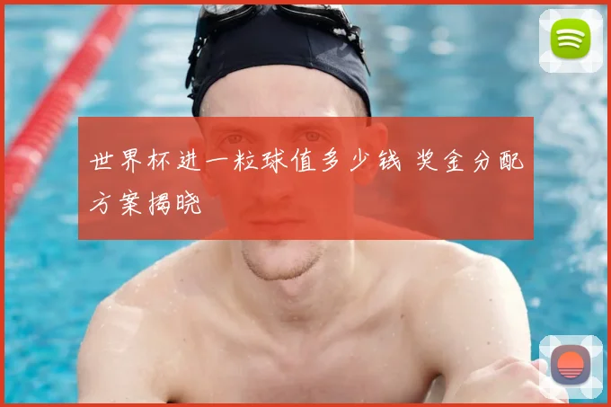 世界杯进一粒球值多少钱 奖金分配方案揭晓