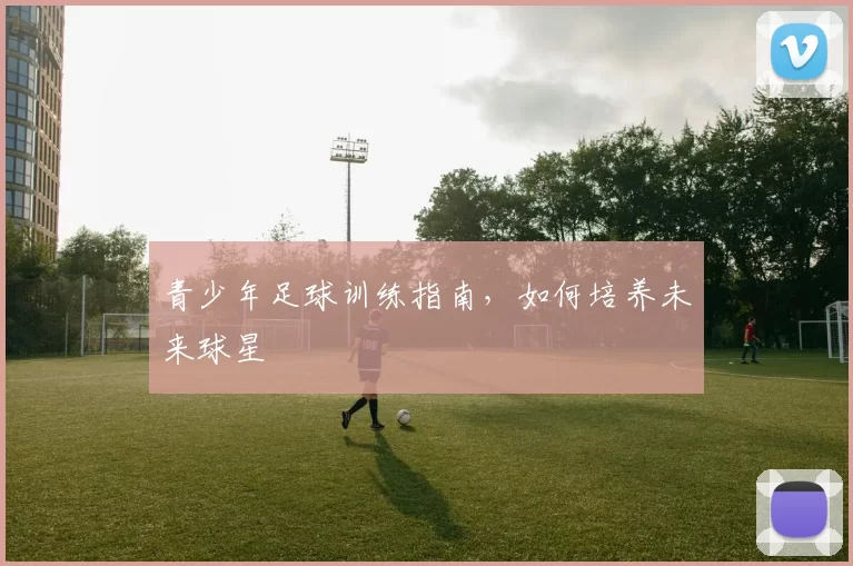 青少年足球训练指南，如何培养未来球星