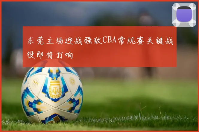 东莞主场迎战强敌CBA常规赛关键战役即将打响
