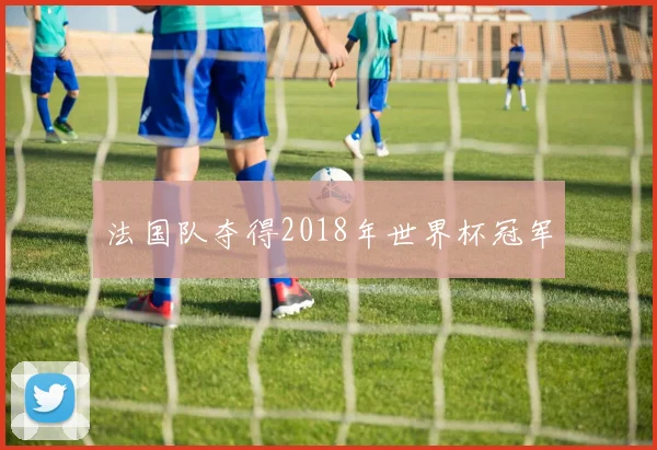 法国队夺得2018年世界杯冠军