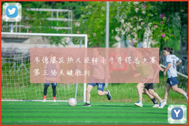 韦德爆发热火逆转小牛夺得总决赛第三场关键胜利